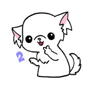 Mamechiyo of Chihuahua 2nd