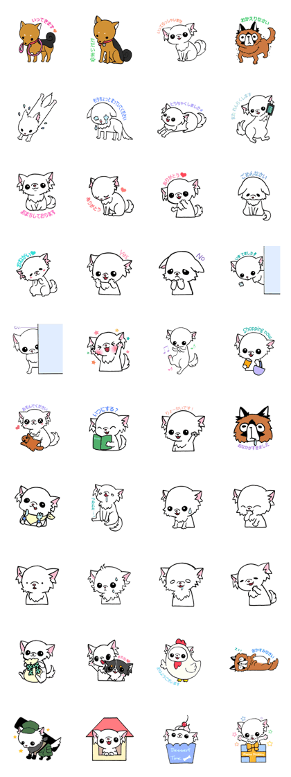 Mamechiyo of Chihuahua 2nd