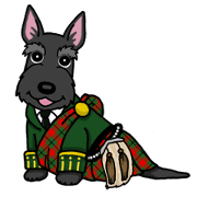 Entertaining friends, Scottish Terrier.