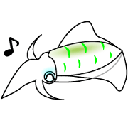 Big Fin Reef Squid fish sticker