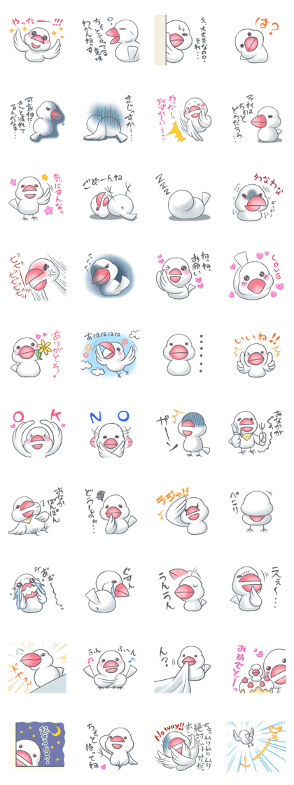 Motchi of a white Java sparrow