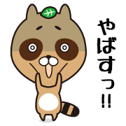 Cute raccoon