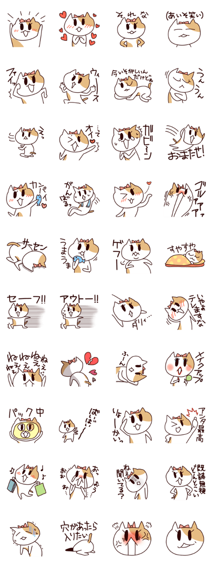 Imadoki cat!!