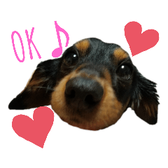 ayumi_20200120144556