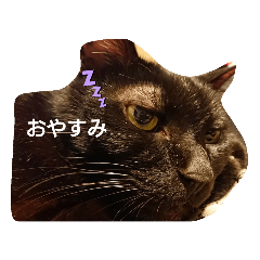 ringo_20200120170159