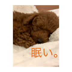 mimi_20200120172400