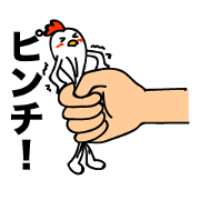 ROOSTER-san 6