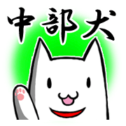 Central part dog Aichi