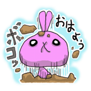 Hi! Pink Rabbit