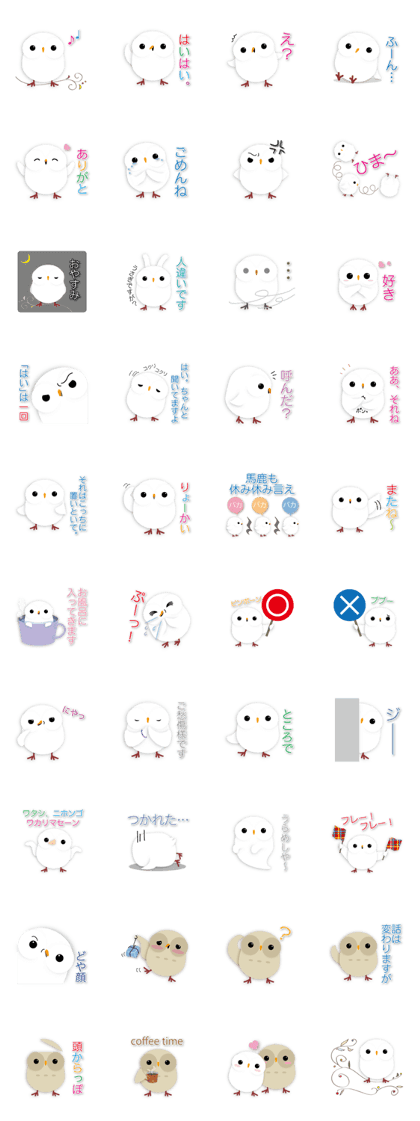 cute owl