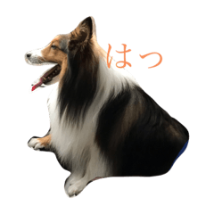 grace_20200120185739