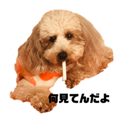 Natsumi_20200120201005