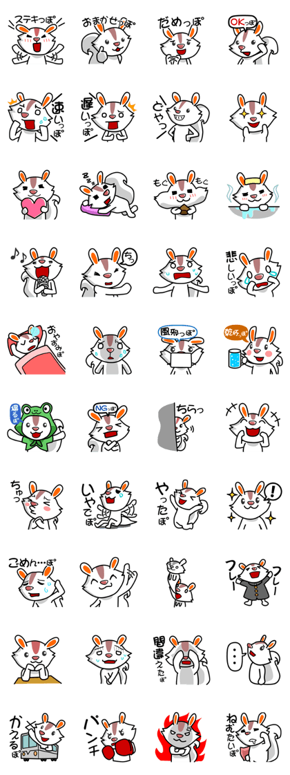 WhiteSuirrel