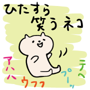 Earnestly laugh cat
