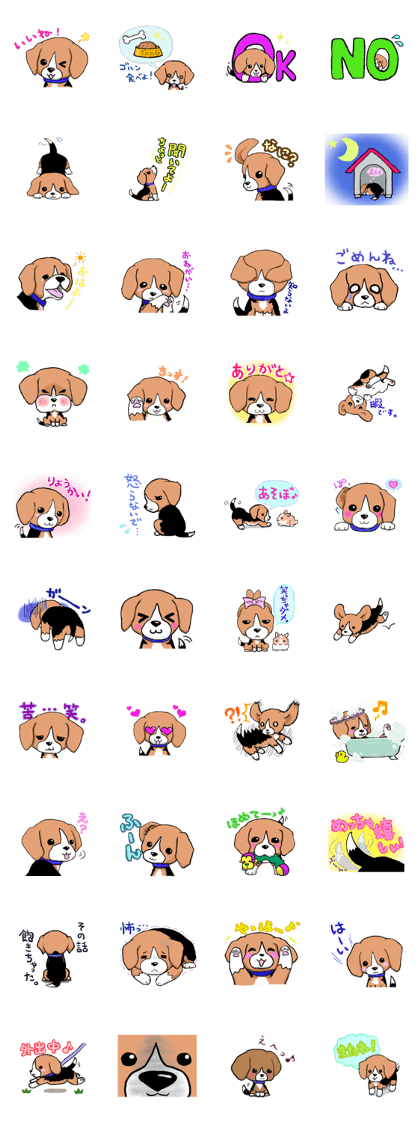 Small BeagleHundDog Maple.