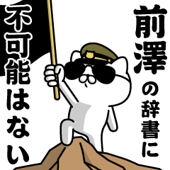"MAEZAWA"name/Military cat