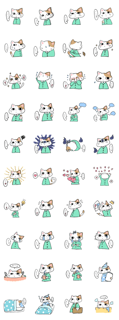 A quiet cat