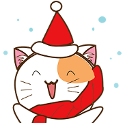 Kenta the cat, christmas time