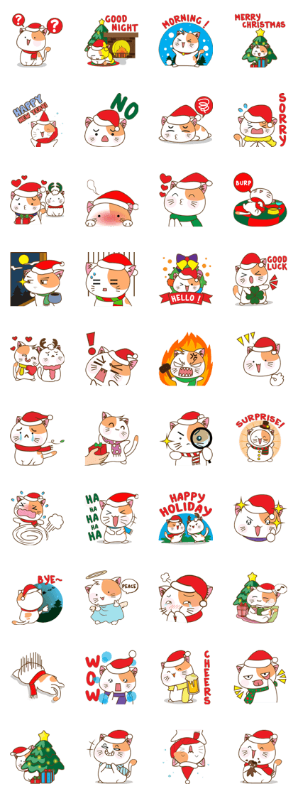 Kenta the cat, christmas time