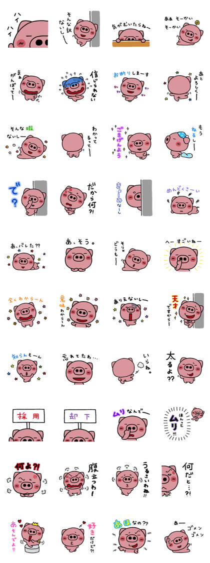 pig heart 13