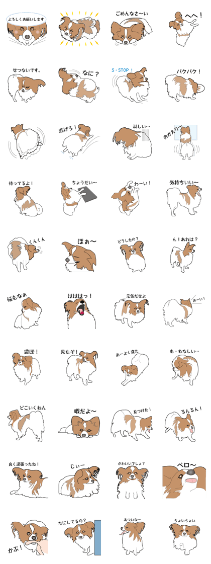 Illustrations of Papillon realistic