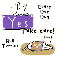 Every Day Dog Bull Terrier