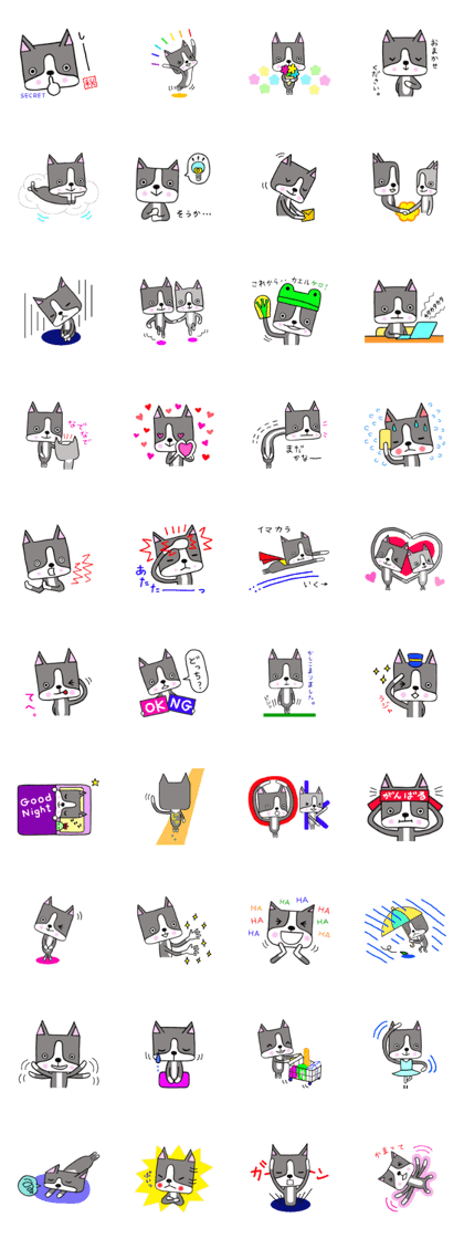 Boston terrier in one day Vol.3