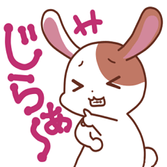 okinawa-rabbit