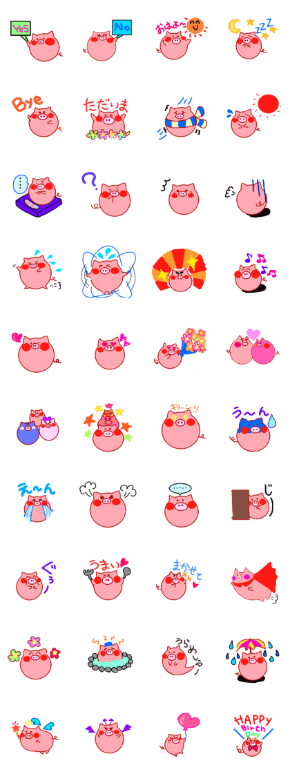 my pig
