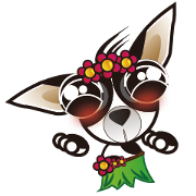 Goggle-eyed Chihuahua2-travel