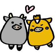 Cows