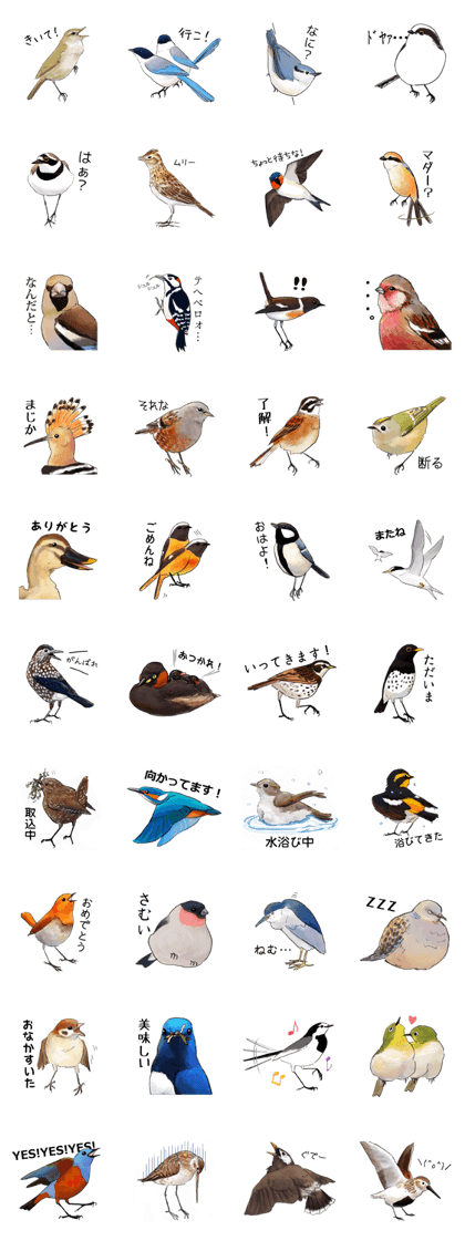 Japanese bird