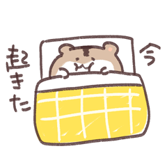 hamster monyao