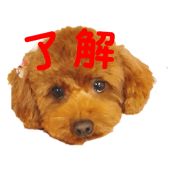 hana_20200121020438
