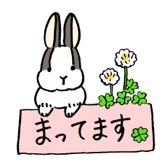 polite bunnies