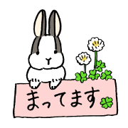 polite bunnies