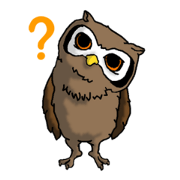 Horned owl