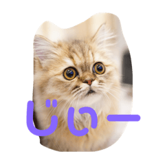 omochi_20200121111007