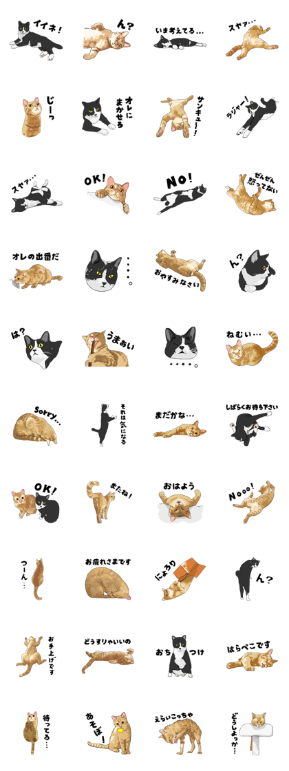 Cats illustration sticker