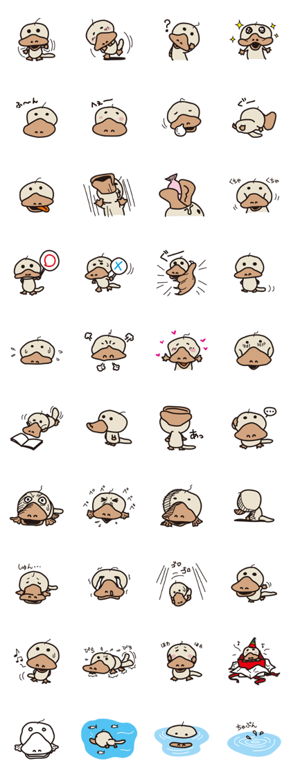 Platypus Kamokamo