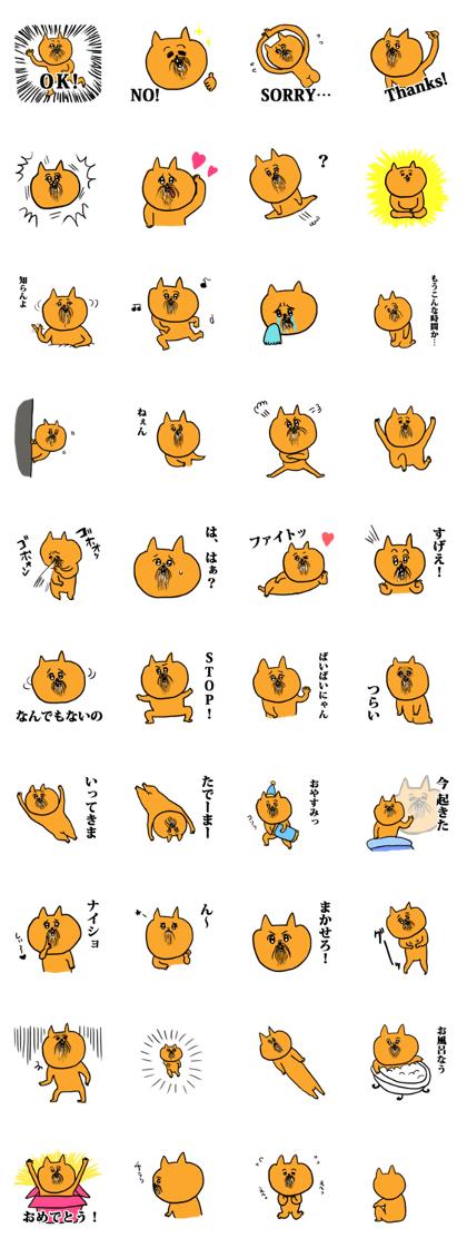 ngi cat Sticker
