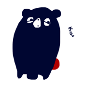 Aory the bear boxer