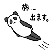 a giant panda