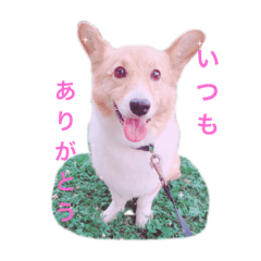 natsumi_20200120225511