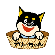 Terry-chan, the kuro-shiba