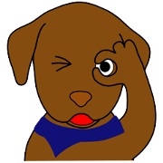 Chocolate Lab Cacao