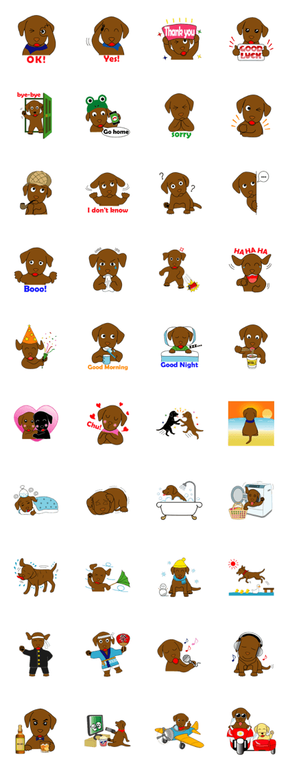 Chocolate Lab Cacao
