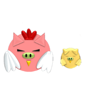 Daily life of pigs which say doodle-doo