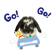 うちの子シリーズ『うさぎのらんちゃん』