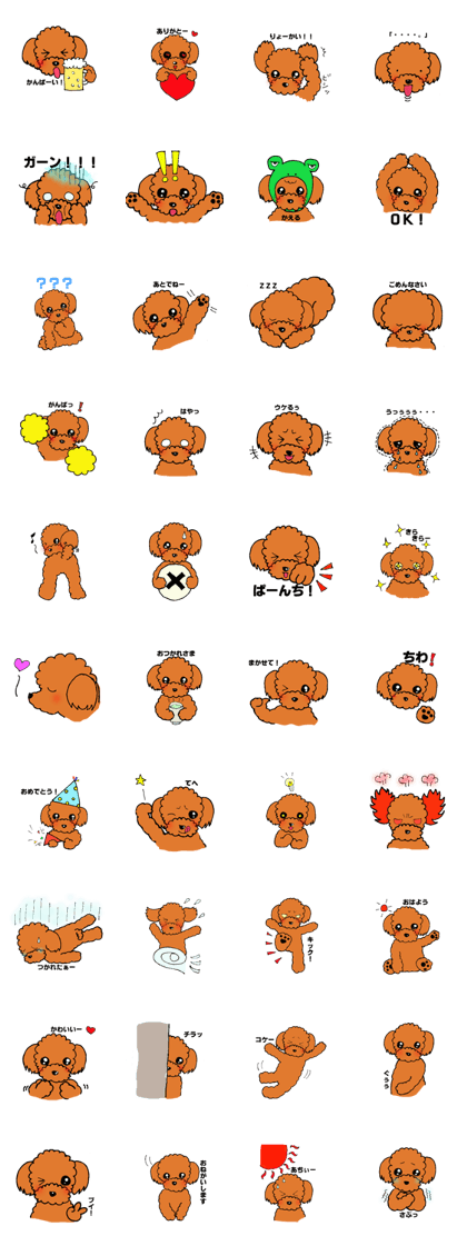 A playful toy poodle